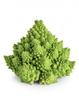Broccolo romano